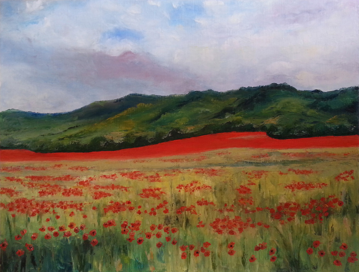 Coquelicots avant l’orage